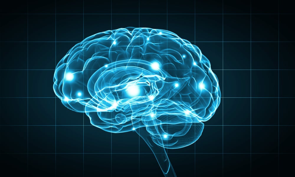 Concept of human intelligence with human brain on blue background Concept of human intelligence with human brain on blue background